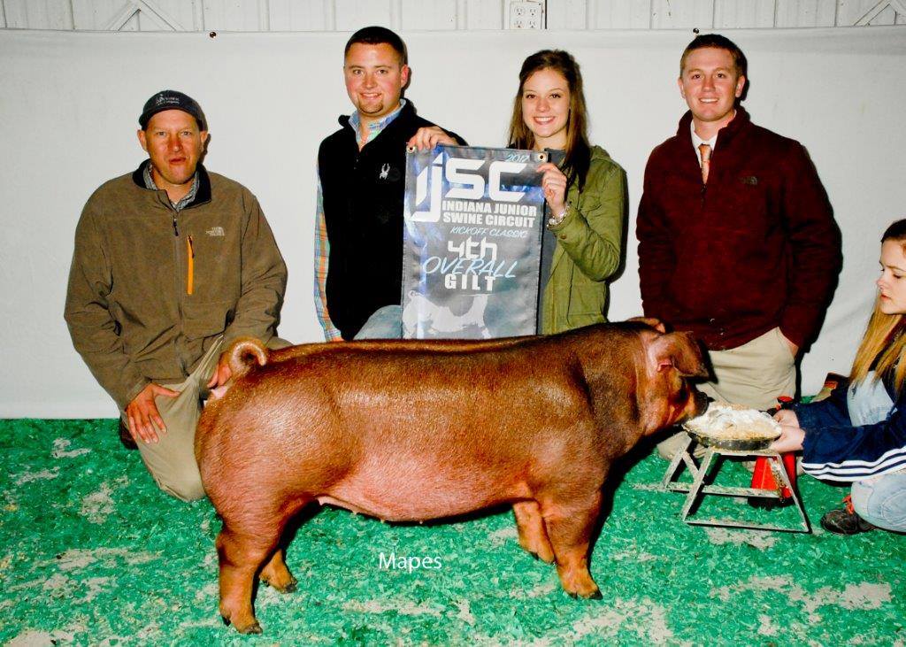 18319161_1716750775290367_2636229656366789369_o