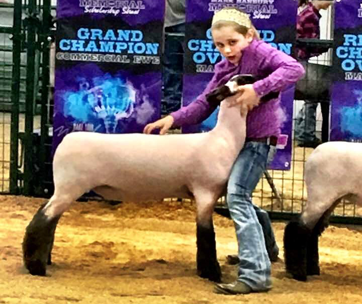 18486429_1721714638127314_3925744102322741511_n