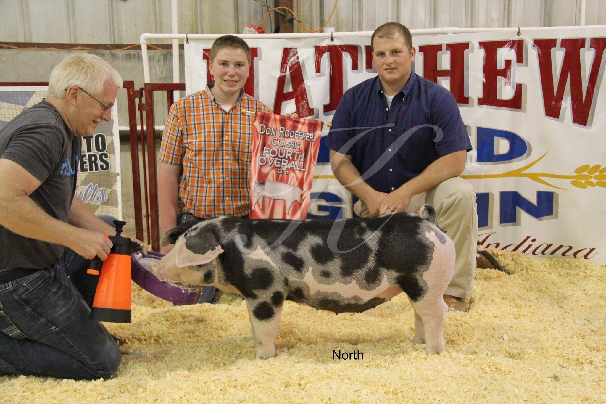 18491569_1722262891405822_8050464498097468682_o