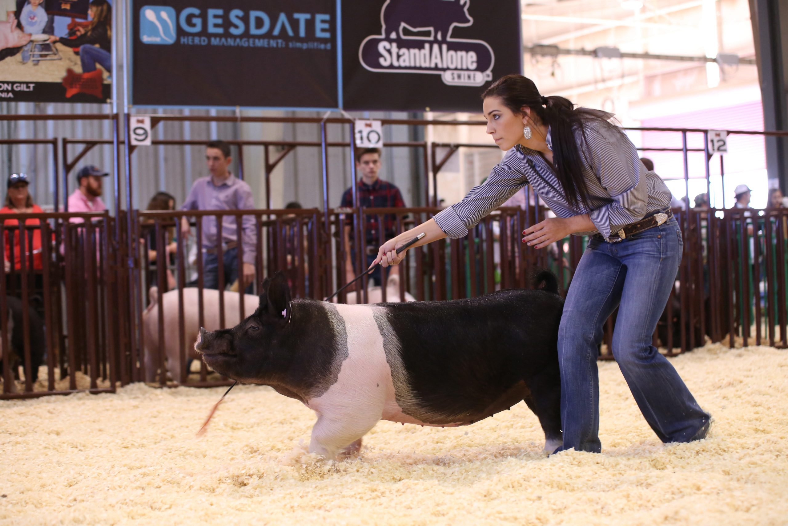 phoenixclasswinnersadietaylor